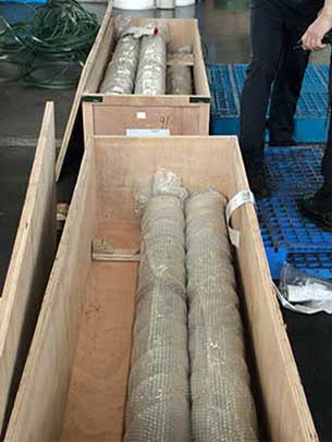 Delivery packaging